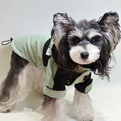 Pet Dog Heritage Clothes