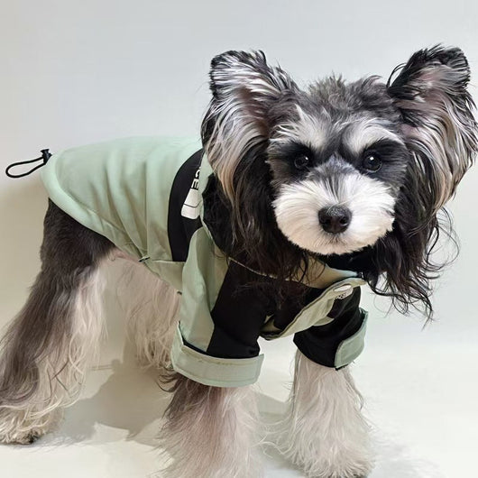 Pet Dog Heritage Clothes