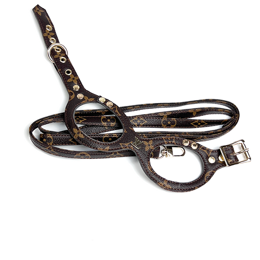 Chowchow High Quality Leather Harness & Leash Prime Set