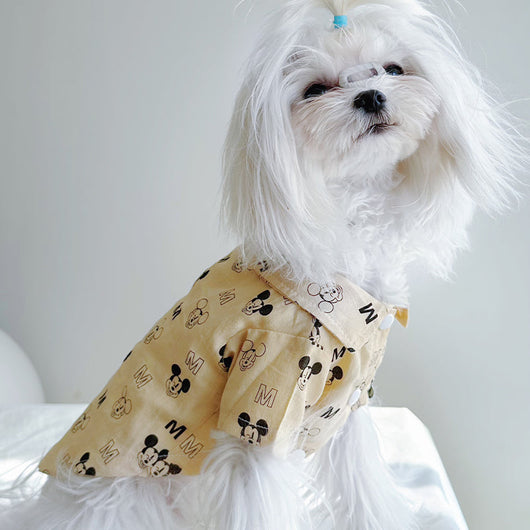 Big Dog Sweet Summer Shirt