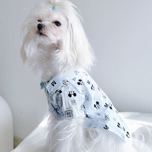 Big Dog Happy Summer Breeze Shirt