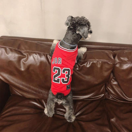 Legends Classic Doggo Whimsical Jersey