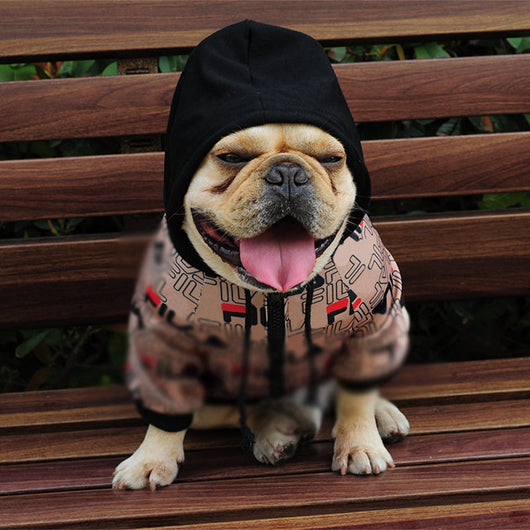 Pup Drip Golden Hoodie