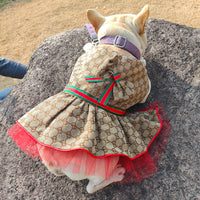 GG Luxury Summer Posh Dress