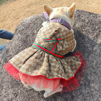 GG Luxury Summer Posh Dress