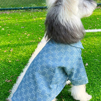 Pet Dog Snatched Clothes