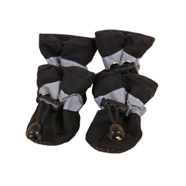 Doggy Shoes