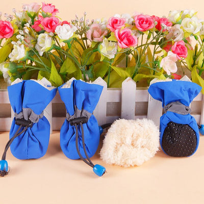 Pup Posh Pawwear Tactile Shoes