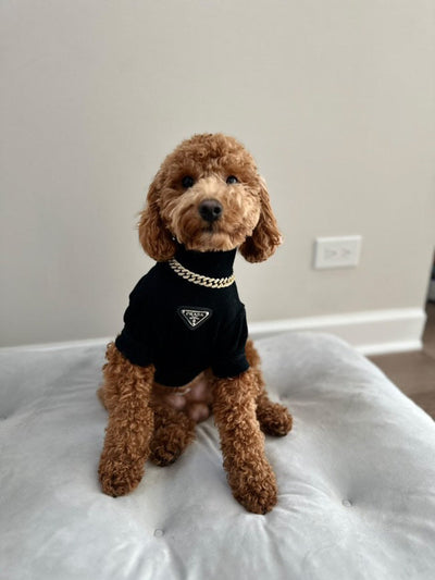 Lux Turtle Redux Neck