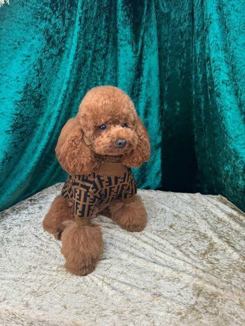 Fency Dog Rewind Sweater