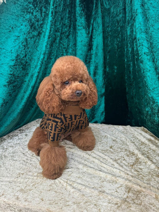 Fency Dog Rewind Sweater