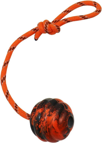 K9 Dog Training Ball with Rope