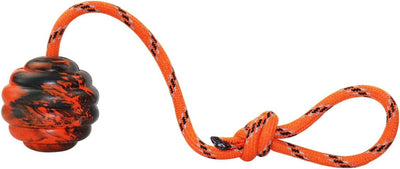 K9 Dog Training Ball with Rope
