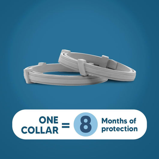 Flea and Tick Collar for Small Dogs
