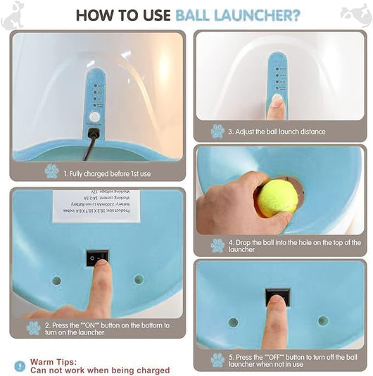 Mini Dog Ball Launcher | Automatic Fetch Toy