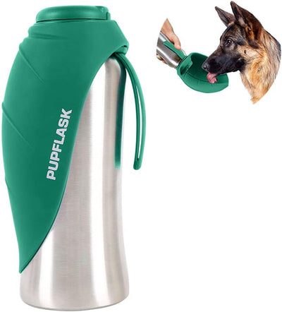 Stainless steel dog water bottle for outdoor walks