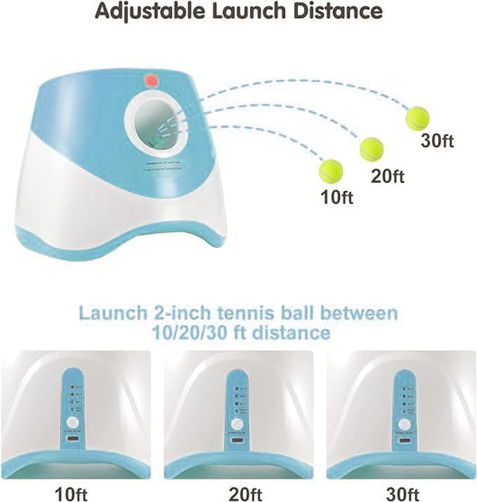 Mini Dog Ball Launcher | Automatic Fetch Toy