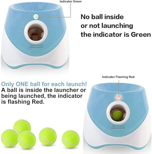 Mini Dog Ball Launcher | Automatic Fetch Toy