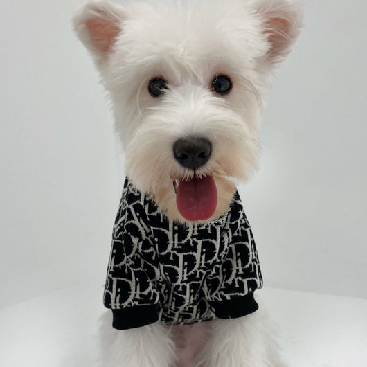 Big Dog DD Cozy Winter Sweater