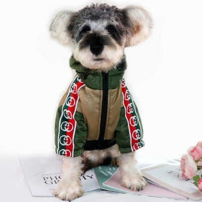 Gigi Fly Winter Jacket With Hood