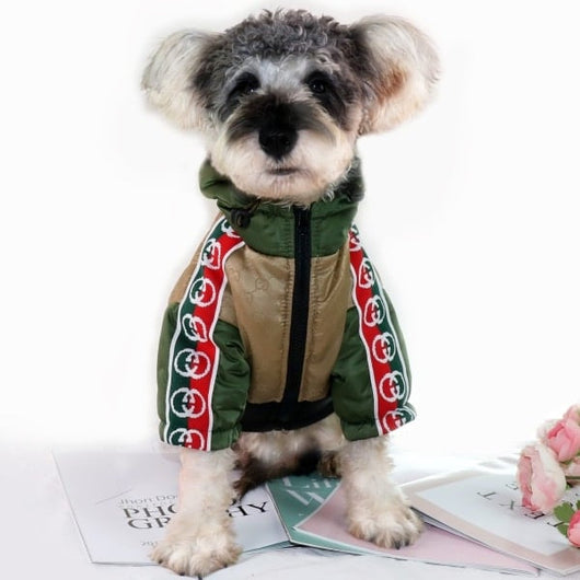 Gigi Fly Winter Jacket With Hood