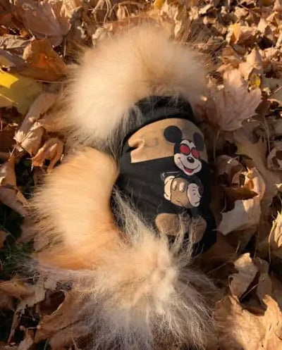 Mickey's GG OG Swag