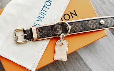 Amelia Dog Collar & Backspin Leash