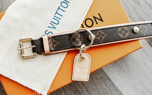 Amelia Only Next Collar