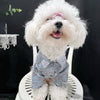 Big Dog Blue Bear-Print Button-Up Shirt