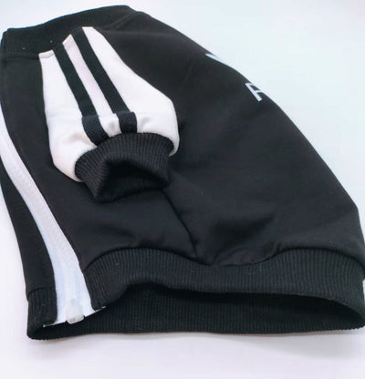PP Falcon Schnauzer Zip Up Tactile Coat