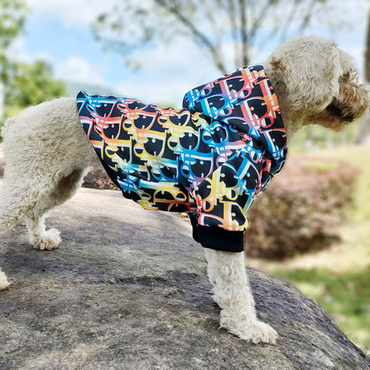 DD Classic Winter Lit Hoodie