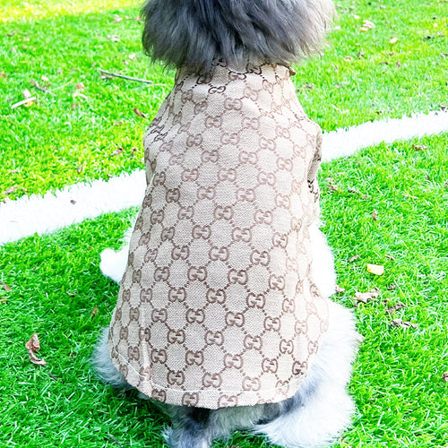 Big Dog GG Chill Shirt