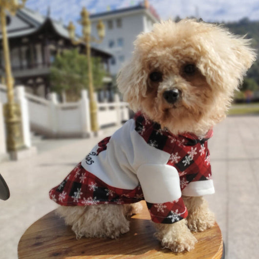 Christmas Printed Timeless Sweatshirt