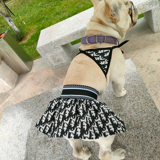 Canine Coastline Dog Beach Fire Wear