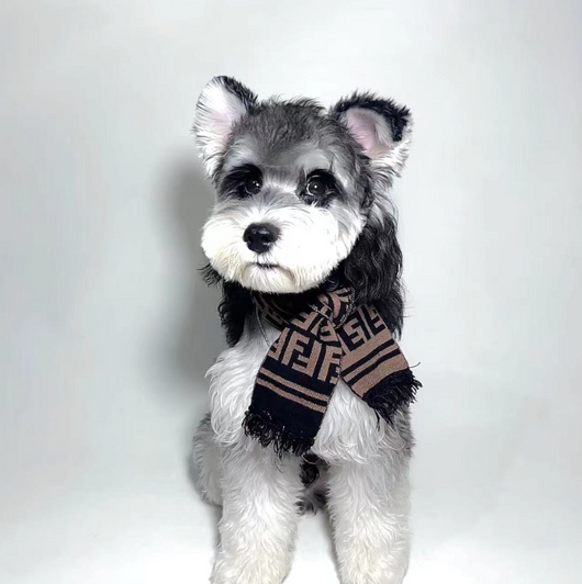 Pendog Brown Flex Scarf