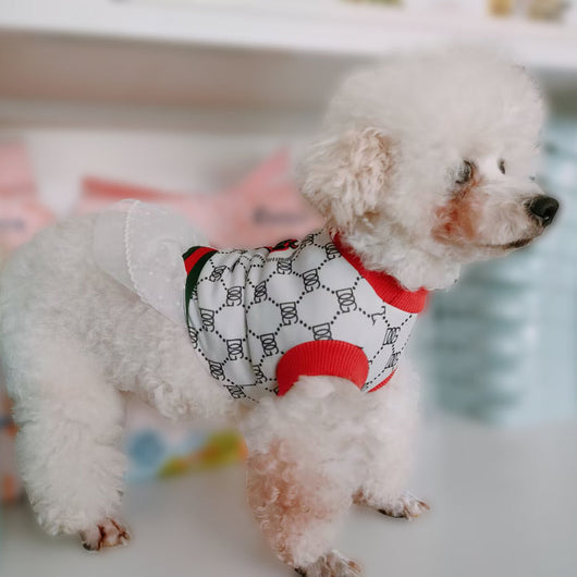 PP Luxury Classic Lo-fi Dress