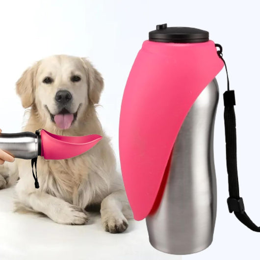 Dog Water Bottle with Collapsible Travel Bowl