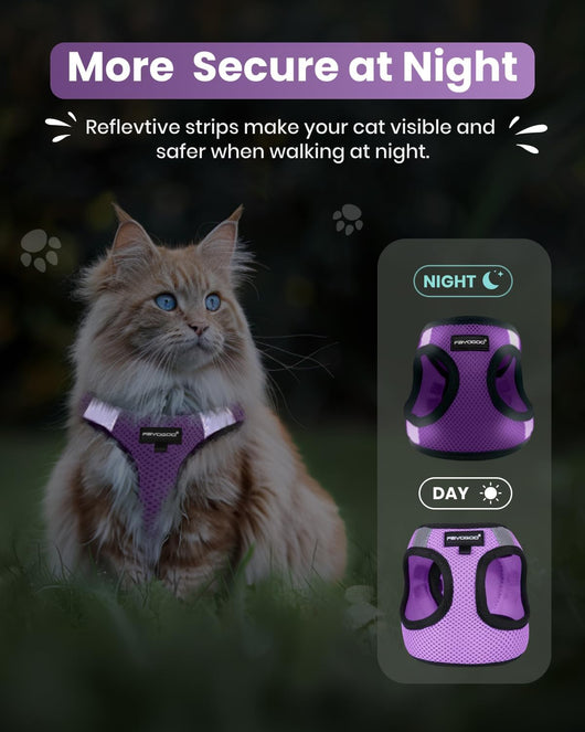 Escape Proof Dog and Cat Harness Set
