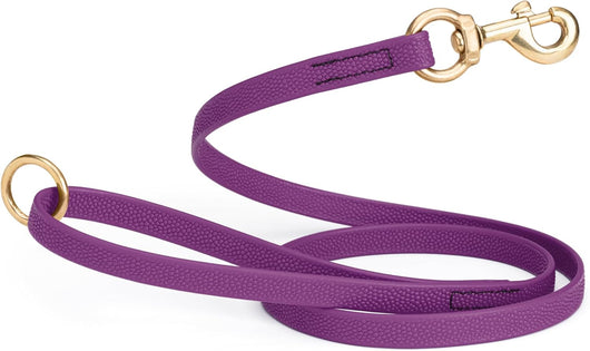 Waterproof Biothane Dog Leash for Training Adventures