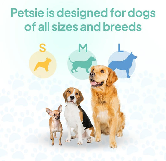 Silent Electric Dog Toothbrush for Small Dogs