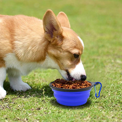 Collapsible Dog Bowls 2-Pack Portable