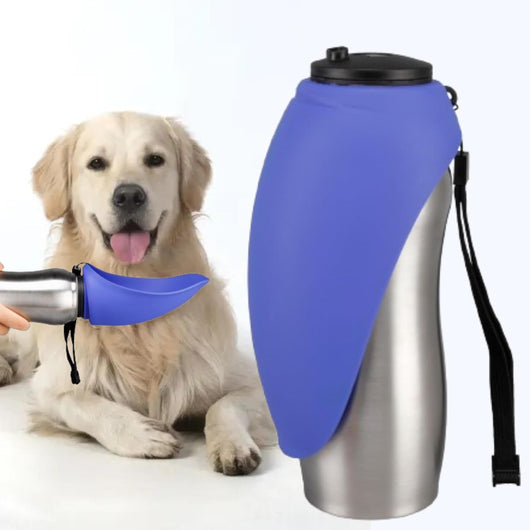 Dog drinking from reversible silicone bowl