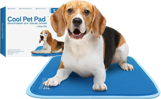 Cooling Dog Mat For Large Breeds