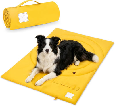 Waterproof Foldable Travel Bed for Adventurous Dogs