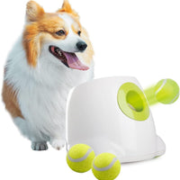 Automatic Dog Ball Launcher | Small Dog Fetch Toy