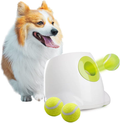 Automatic Dog Ball Launcher | Small Dog Fetch Toy