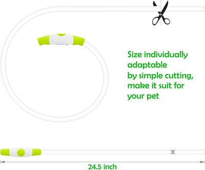 LED Light Up Dog Collar