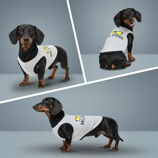 2 Pack Dog Shirts | Small Medium Dog Clothes | Cotton Puppy T-Shirts