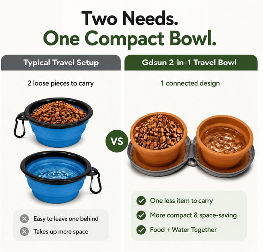 2-in-1 Collapsible Dog Travel Bowls with Carabiner
