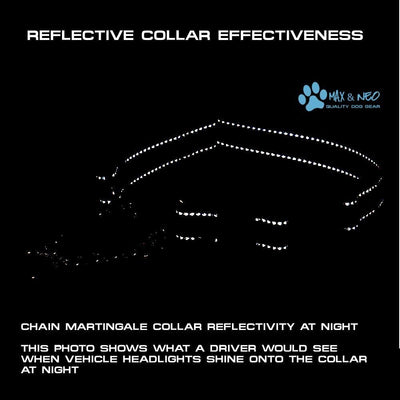 Stainless Steel Dog Chain Martingale Collar